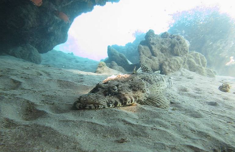 PADI Open Water Diver, der Einsteiger Tauchkurs in Makadi Bay