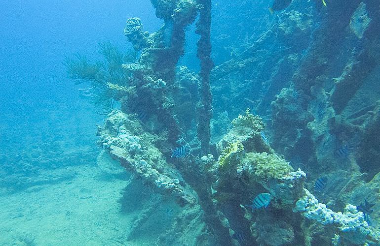 Fun Diving Makadi Bay - Ganztägige Tauchfahrt mit 2 Tauchgängen