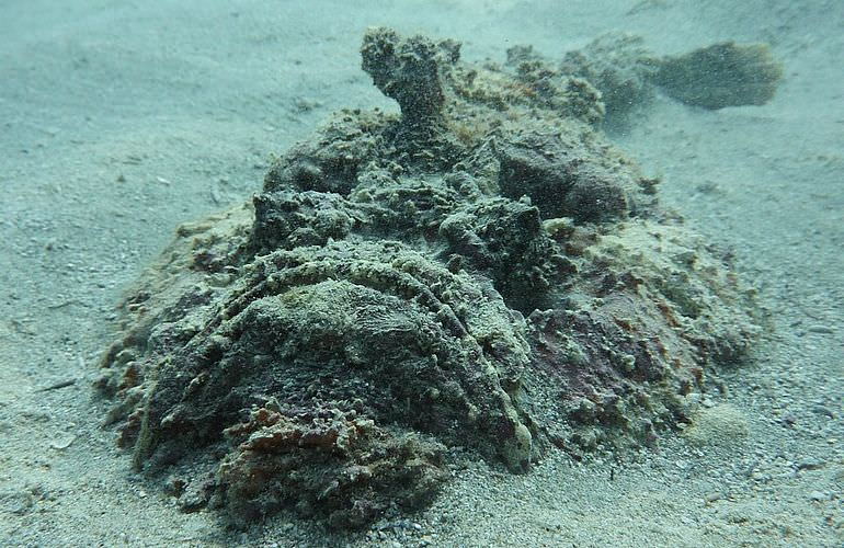 Fun Diving Makadi Bay - Ganztägige Tauchfahrt mit 2 Tauchgängen