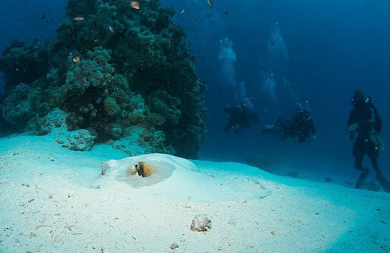 PADI Advanced Open Water Diver, Tauchkurs für Fortgeschrittene in Makadi Bay