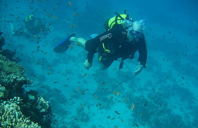 Auffrischungskurs: PADI Scuba Review Programm in Makadi Bay