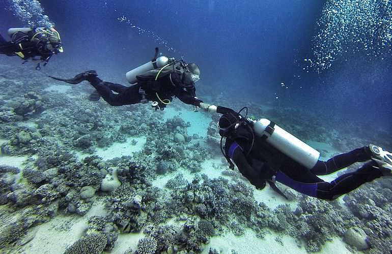 Tauchausflüge für Fortgeschrittene und Anfänger ab Makadi Bay