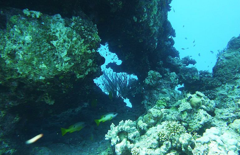 Fun Diving Makadi Bay - Ganztägige Tauchfahrt mit 2 Tauchgängen