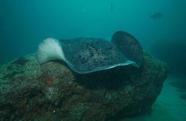 Auffrischungskurs: PADI Scuba Review Programm in Makadi Bay