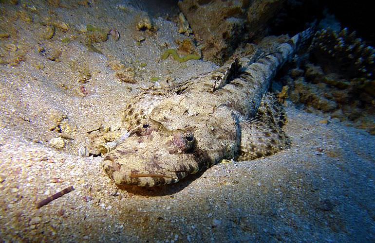 PADI Open Water Diver, der Einsteiger Tauchkurs in Makadi Bay