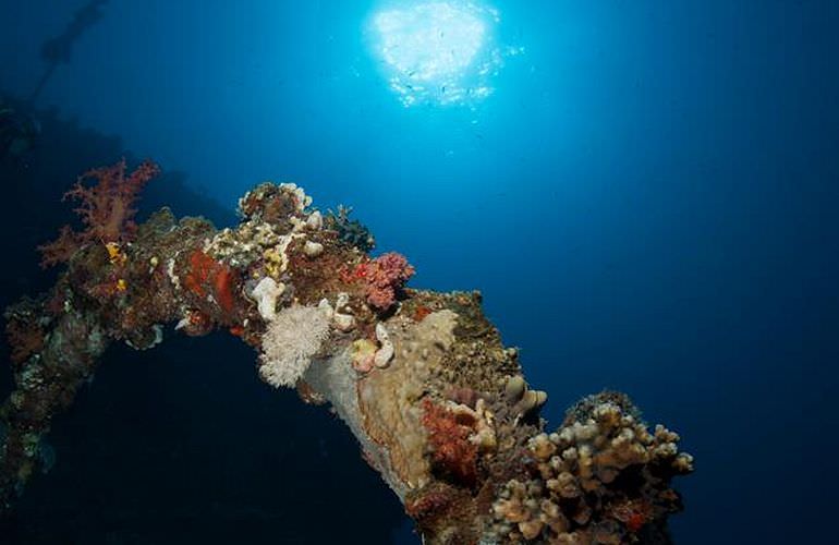 PADI Advanced Open Water Diver, Tauchkurs für Fortgeschrittene in Makadi Bay