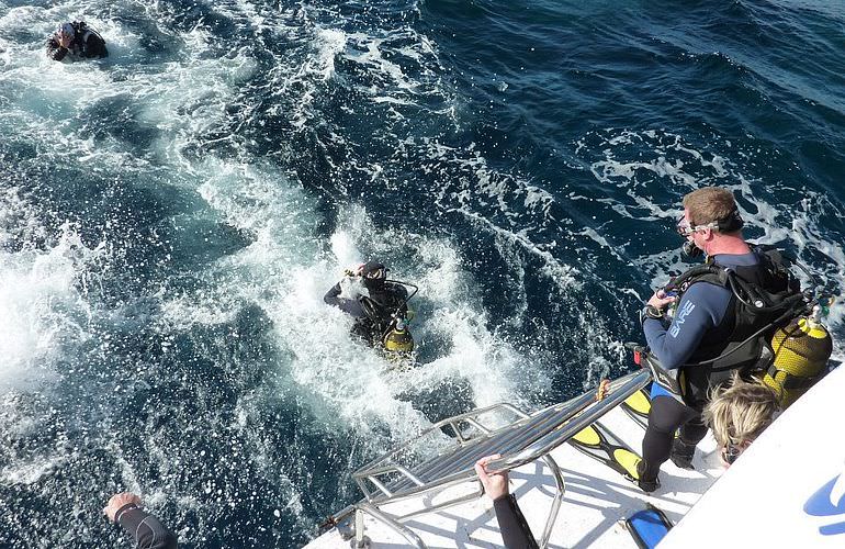 Tauchausflüge für Fortgeschrittene und Anfänger ab Makadi Bay