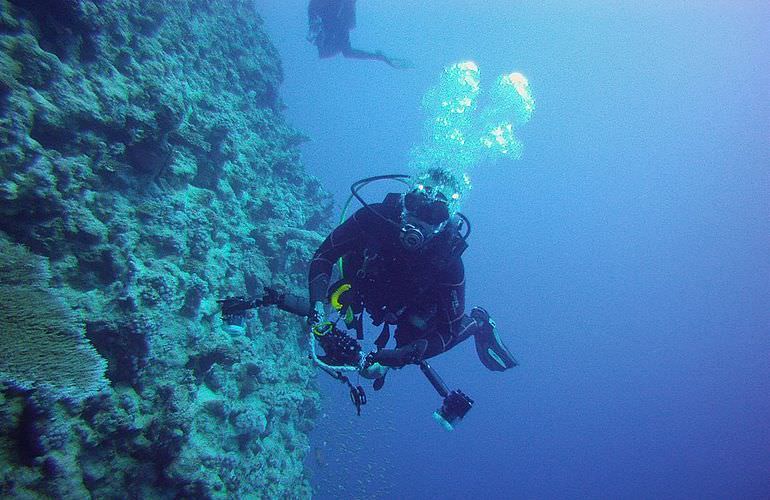 Auffrischungskurs: PADI Scuba Review Programm in Makadi Bay