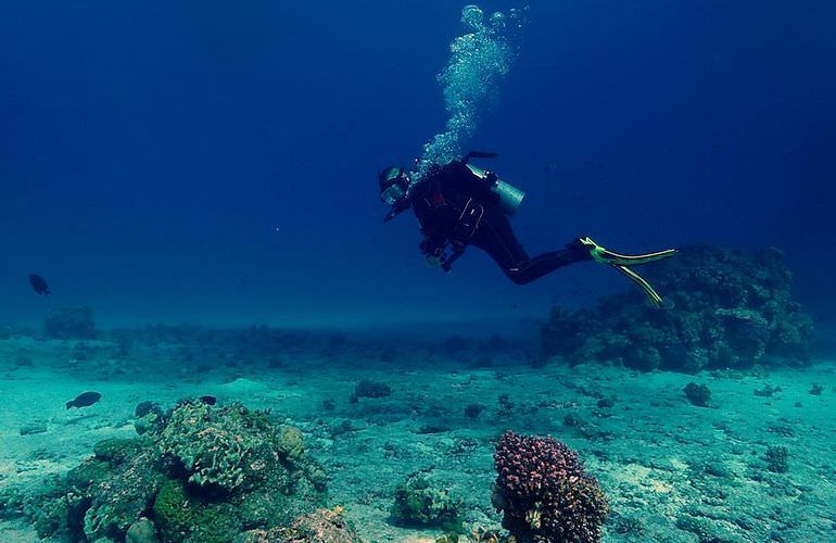 Fun Diving Makadi Bay - Ganztägige Tauchfahrt mit 2 Tauchgängen