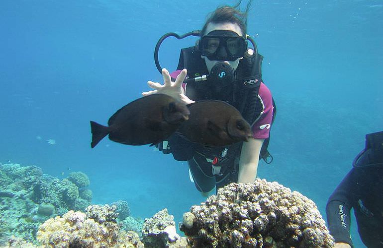 Fun Diving Makadi Bay - Ganztägige Tauchfahrt mit 2 Tauchgängen