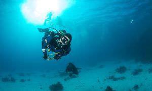 Auffrischungskurs: PADI Scuba Review Programm in Makadi Bay