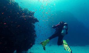 PADI Advanced Open Water Diver, Tauchkurs für Fortgeschrittene in Makadi Bay