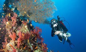 PADI Scuba Diver Kurs ab Makadi Bay - Schnuppertauchkurs 1 Tag