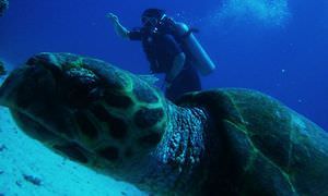 PADI Open Water Diver, der Einsteiger Tauchkurs in Makadi Bay