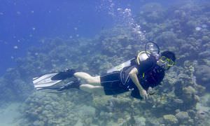 Tauchausflüge für Fortgeschrittene und Anfänger ab Makadi Bay