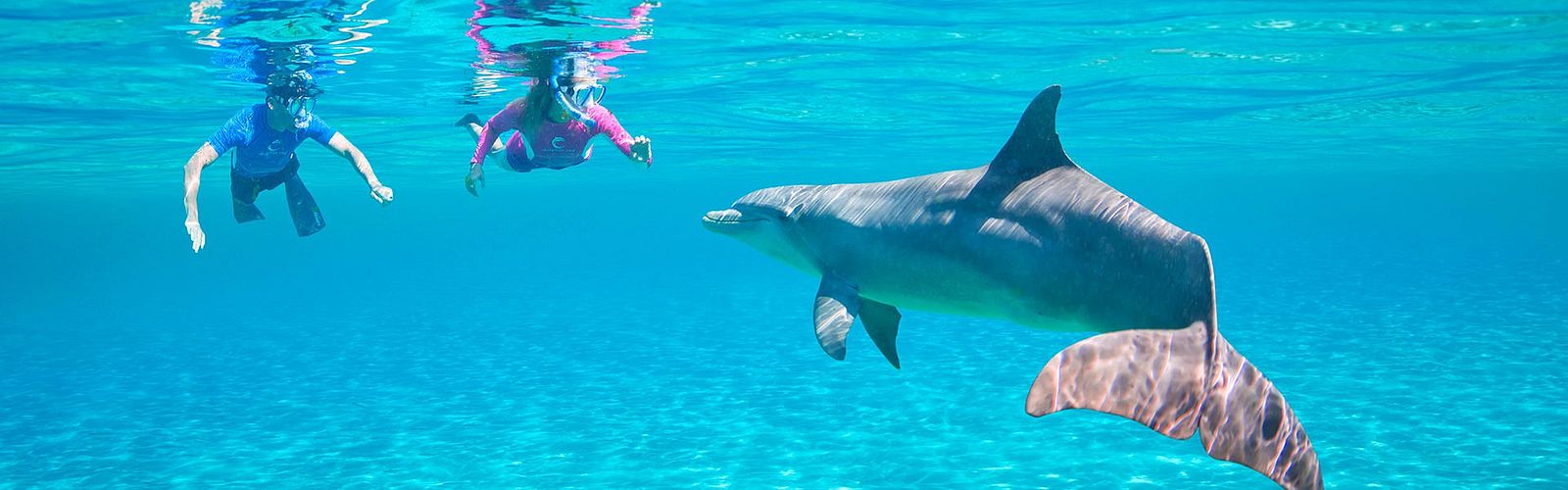 Top 5 Ausflüge zu Delfinen Makadi Bay 2022 | Delfin Tour Makadi Bay